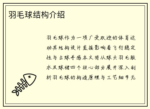 羽毛球结构介绍
